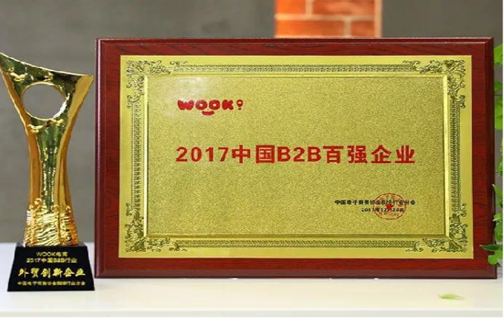 2017 中国B2B百强企业